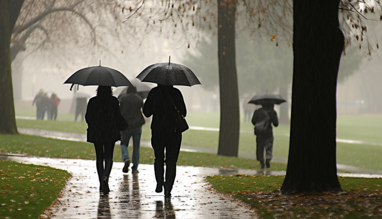 Monsoon Stock Photos