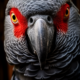 170 Wild Realistic Birds Photography Prompts | Midjourney