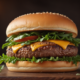 Cheeseburger | Stable Diffusion Prompt