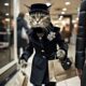 Stylish cat shopping