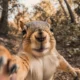 A 3D midjourney prompt of a squirrel taking selfie.