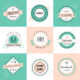 Design Elements Vintage Retro Style Arrows Labels Ribbons Symbols Editable Vector Illustration