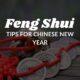 Feng Shui ChatGPT Tips for the Chinese New Year